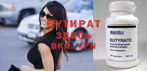 индика Гусь-Хрустальный