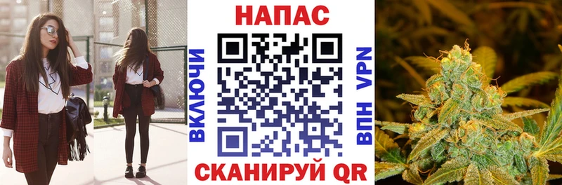 Конопля семена Шилка